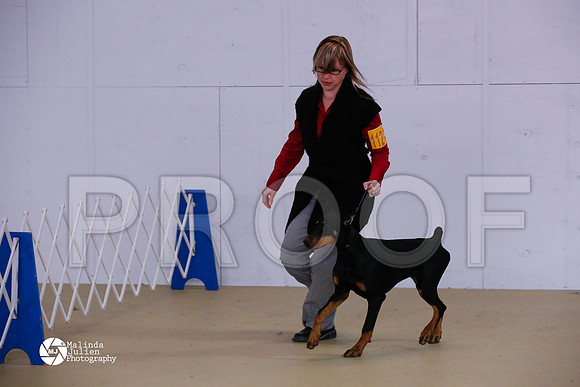 Dobe-6087-HtoJan14-HR