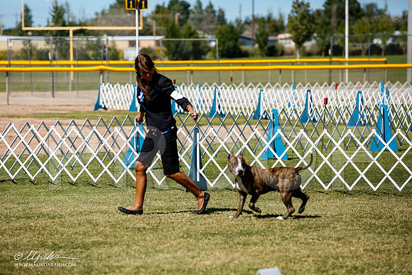 _JJ_1094-AlamogordoOct2014-HR3