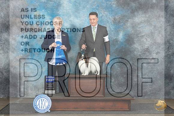 Papillon #7 Mon G1 Judge Sharon Newcomb__JP_4437_Lubbock_2024_HR3