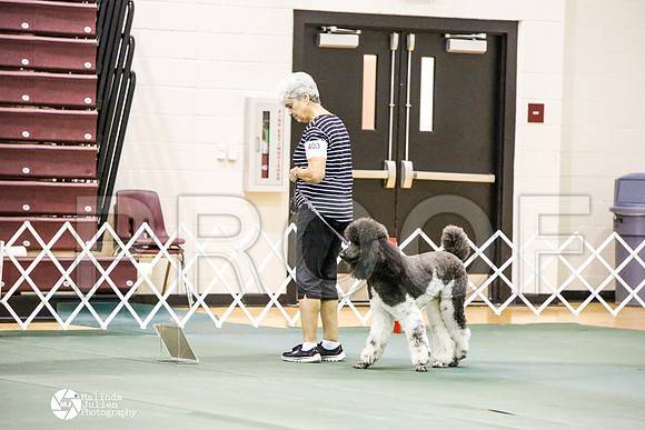 _JJ_3505-BsrCtyJun2014-HR3