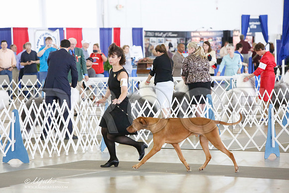 _JJ_0772-DallasJul2014-HR3