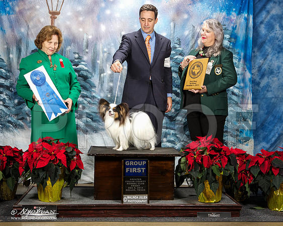 _ST_8386-DallasDec2014-HR3