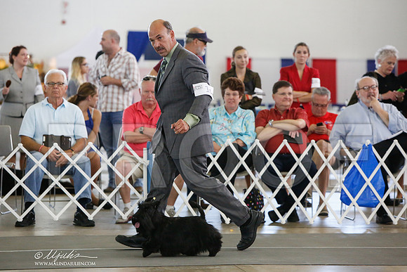 _JJ_2073-DallasJul2014-HR3