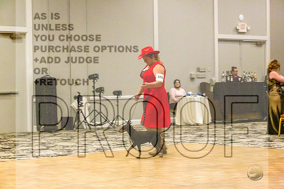 Manchester Terrier MTOY Candids-JJL_2198-Hstn2022_HR3