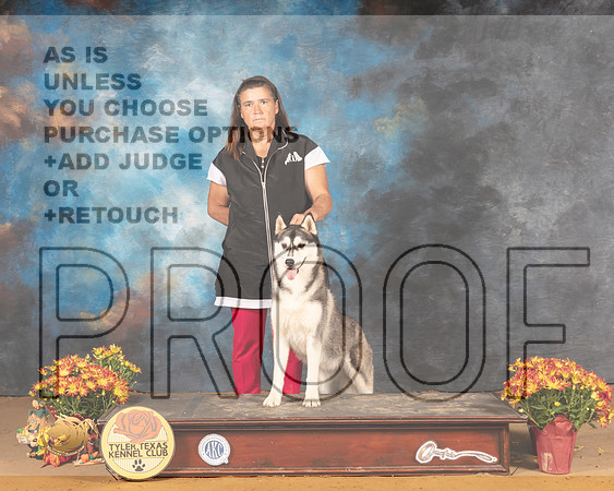 Siberian Husky  Carrie_MMJ_1835_Tyler2021