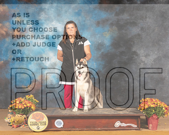 Siberian Husky  Carrie_MMJ_1836_Tyler2021
