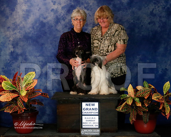 CC-9480-NormNov2013-HR
