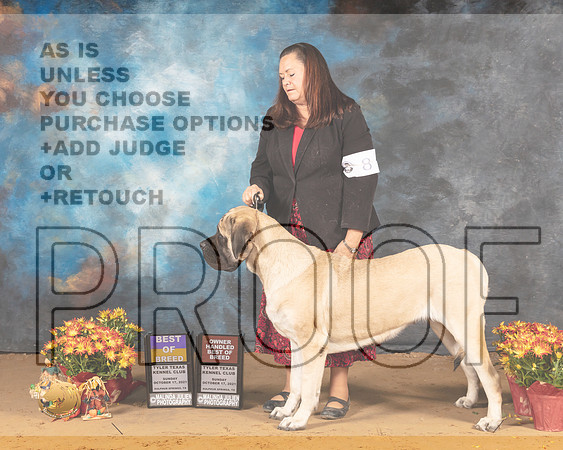 Mastiff #8 Sat BOBOHBOB Judge Karen Hynek R_MMJ_1993_Tyler2021