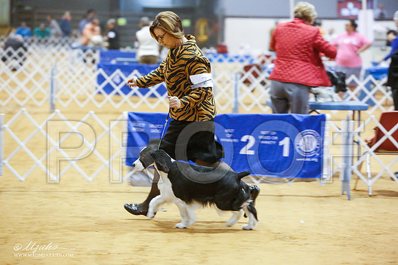 _JN_7361-GlnRoseJan2015-HR3