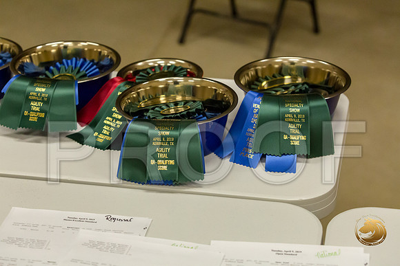 Agility AwardsJJJ_6992-PBGVKrvlTX2019-HR3