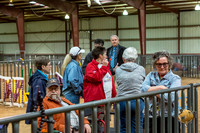 Agility Candids