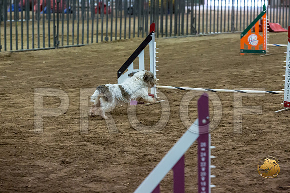 Agility JWW ME National CCJJJ_4368-PBGVKrvlTX2019-HR3