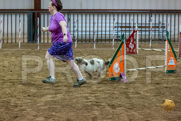 Agility JWW ME National CCJJJ_4384-PBGVKrvlTX2019-HR3
