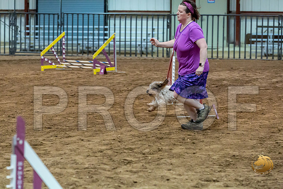 Agility JWW ME National CCJJJ_4385-PBGVKrvlTX2019-HR3
