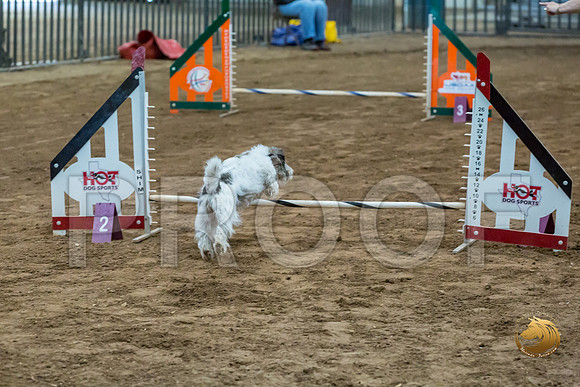 Agility JWW ME National DarcyJJJ_4319-PBGVKrvlTX2019-HR3