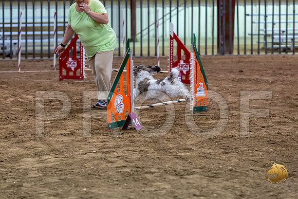 Agility JWW ME National DarcyJJJ_4336-PBGVKrvlTX2019-HR3
