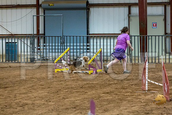 Agility JWW ME National GromitJJJ_4424-PBGVKrvlTX2019-HR3