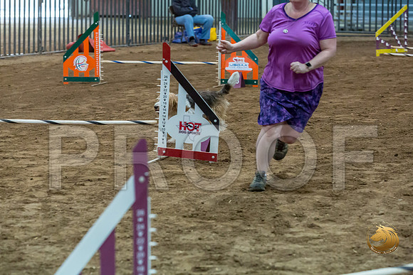 Agility JWW ME National GromitJJJ_4439-PBGVKrvlTX2019-HR3