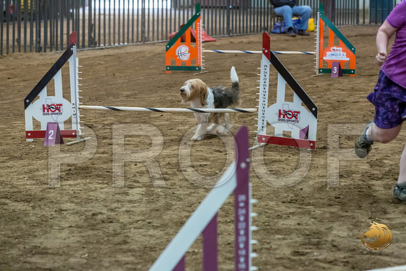 Agility JWW ME National GromitJJJ_4441-PBGVKrvlTX2019-HR3