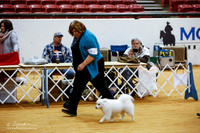 Non Sporting Sweeps Fri Ring