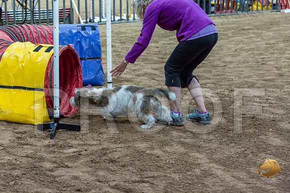 Agility JWW ME National JosieJJJ_4347-PBGVKrvlTX2019-HR3