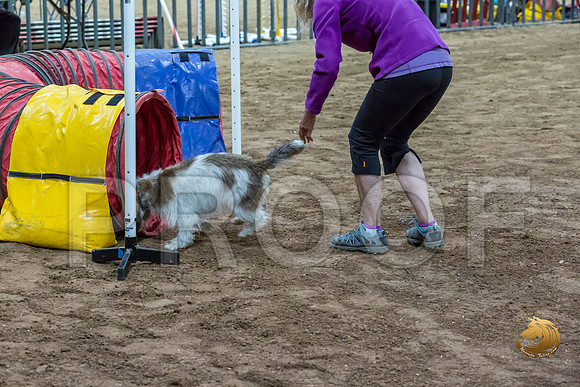 Agility JWW ME National JosieJJJ_4348-PBGVKrvlTX2019-HR3