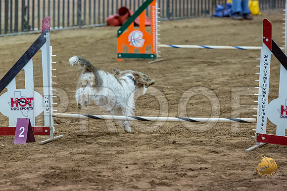 Agility JWW ME National JosieJJJ_4351-PBGVKrvlTX2019-HR3