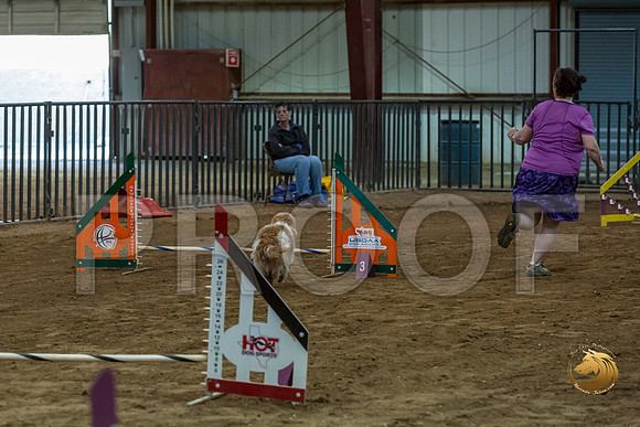 Agility JWW ME National SalsaJJJ_4279-PBGVKrvlTX2019-HR3