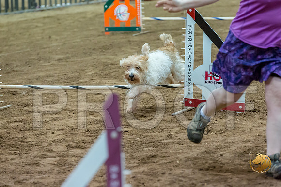 Agility JWW ME National SalsaJJJ_4294-PBGVKrvlTX2019-HR3
