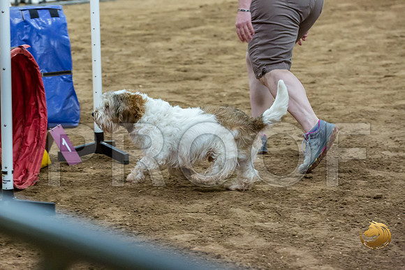 Agility JWW ME National SparksJJJ_4475-PBGVKrvlTX2019-HR3
