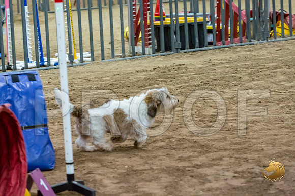 Agility JWW ME National SparksJJJ_4478-PBGVKrvlTX2019-HR3