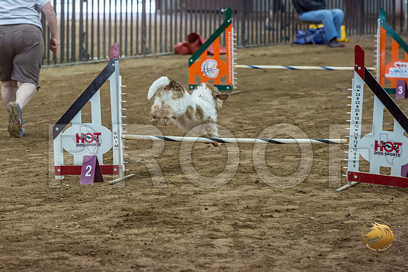 Agility JWW ME National SparksJJJ_4483-PBGVKrvlTX2019-HR3
