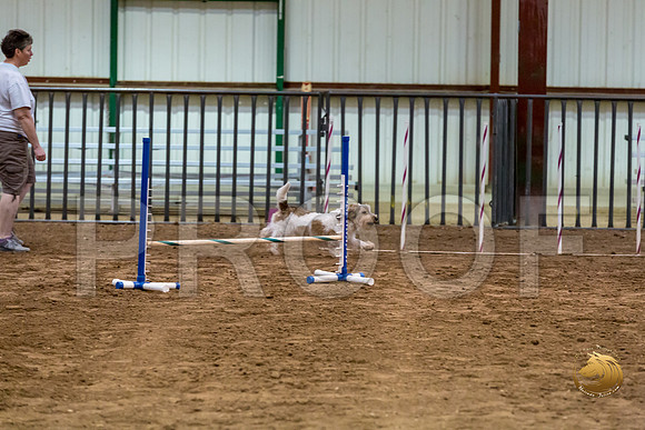 Agility JWW ME National SparksJJJ_4487-PBGVKrvlTX2019-HR3