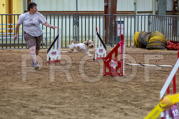 Agility JWW ME National SparksJJJ_4493-PBGVKrvlTX2019-HR3