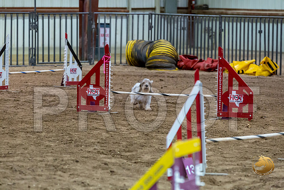 Agility JWW ME National SparksJJJ_4495-PBGVKrvlTX2019-HR3