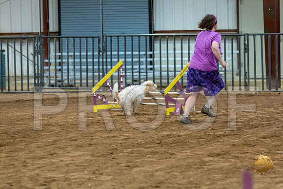 Agility JWW ME National SpiceJJJ_4602-PBGVKrvlTX2019-HR3