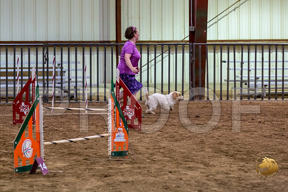 Agility JWW ME National SpiceJJJ_4608-PBGVKrvlTX2019-HR3