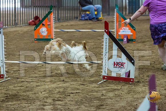 Agility JWW ME National WallyJJJ_4538-PBGVKrvlTX2019-HR3