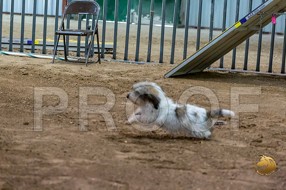 Agility JWW ME Regional CCJJJ_3989-PBGVKrvlTX2019-HR3