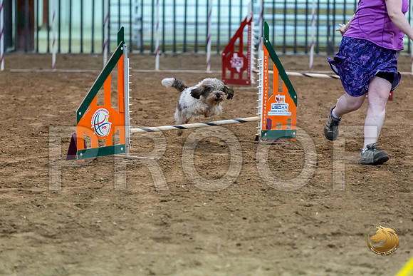 Agility JWW ME Regional CCJJJ_3999-PBGVKrvlTX2019-HR3
