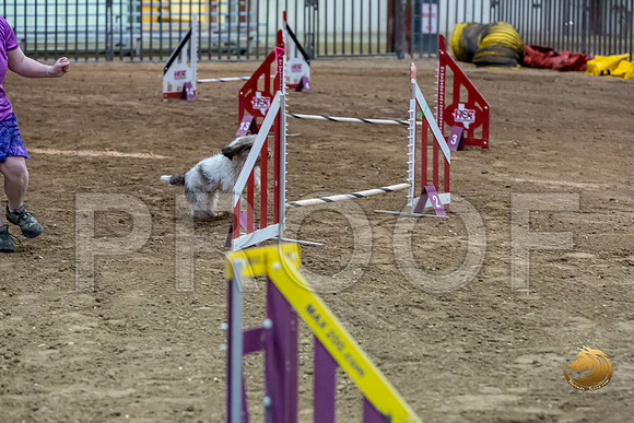 Agility JWW ME Regional CCJJJ_4003-PBGVKrvlTX2019-HR3