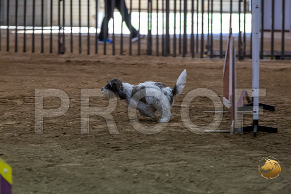 Agility JWW ME Regional DarcyJJJ_3892-PBGVKrvlTX2019-HR3