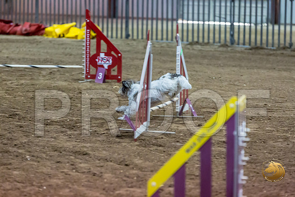 Agility JWW ME Regional DarcyJJJ_3894-PBGVKrvlTX2019-HR3