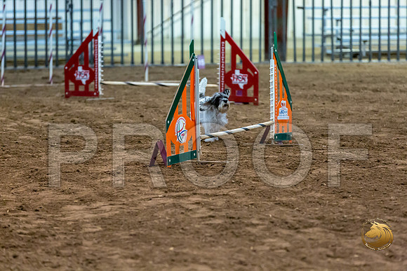 Agility JWW ME Regional DarcyJJJ_3901-PBGVKrvlTX2019-HR3