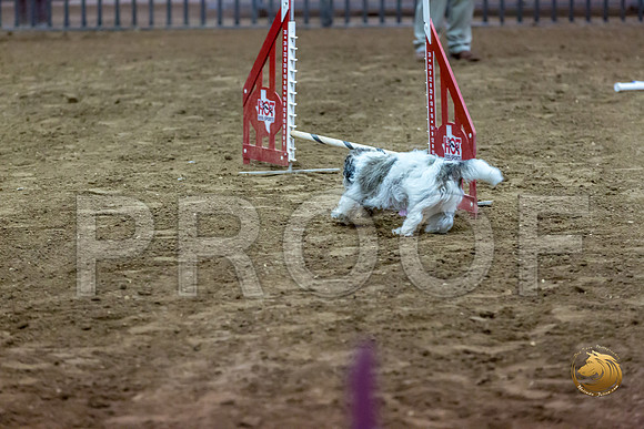 Agility JWW ME Regional DarcyJJJ_3905-PBGVKrvlTX2019-HR3