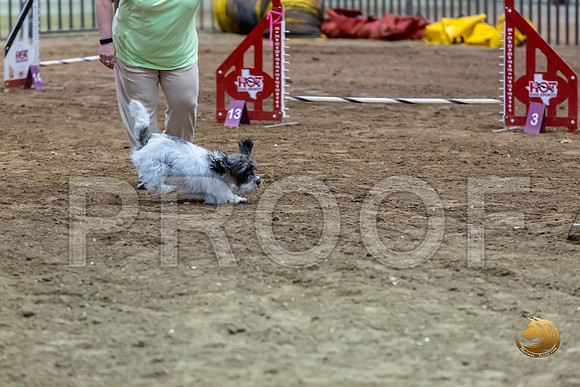 Agility JWW ME Regional DarcyJJJ_3910-PBGVKrvlTX2019-HR3