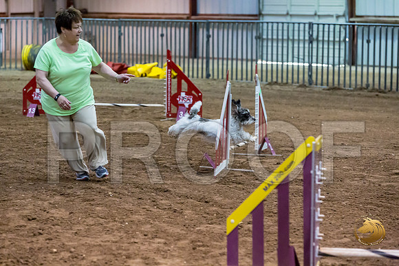 Agility JWW ME Regional DarcyJJJ_3911-PBGVKrvlTX2019-HR3