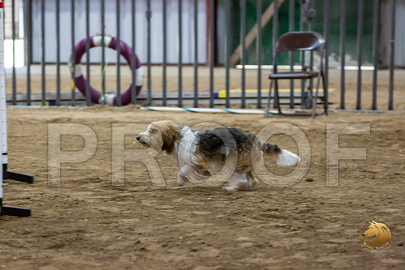 Agility JWW ME Regional GromitJJJ_4208-PBGVKrvlTX2019-HR3