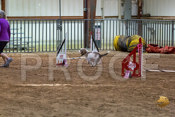 Agility JWW ME Regional JosieJJJ_3947-PBGVKrvlTX2019-HR3