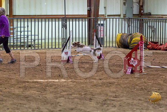 Agility JWW ME Regional JosieJJJ_3948-PBGVKrvlTX2019-HR3
